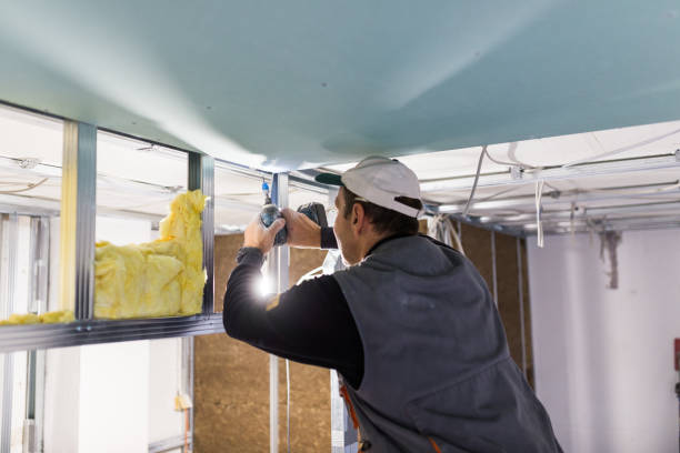 Best Eco-Friendly Insulation in Washington Heights, NY