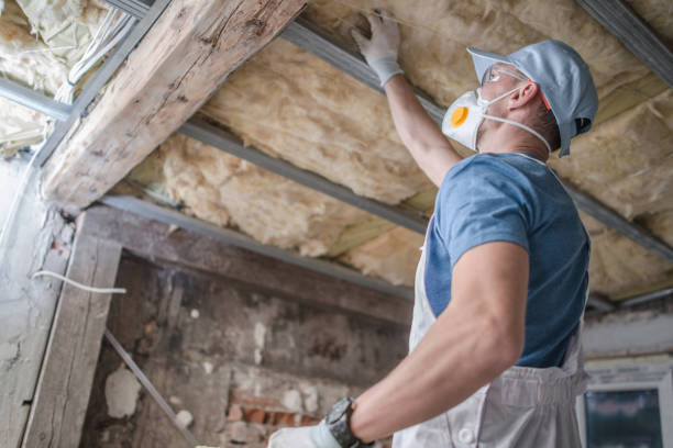 Best Cellulose Insulation in Washington Heights, NY